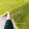 Зеленый Ковер С Длинным Ворсом
